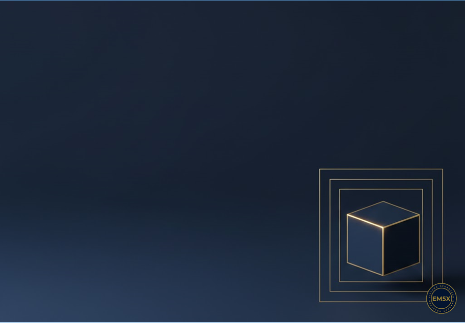 Os-Programas-EM5X-cursos-motivacionais-treinamentos-acelerados-soluções-universais